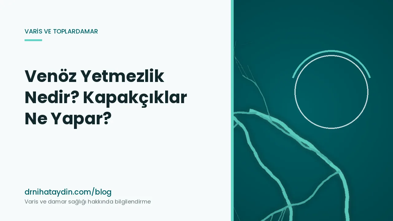 Venöz Yetmezlik Nedir? Kapakçıklar Ne Yapar?